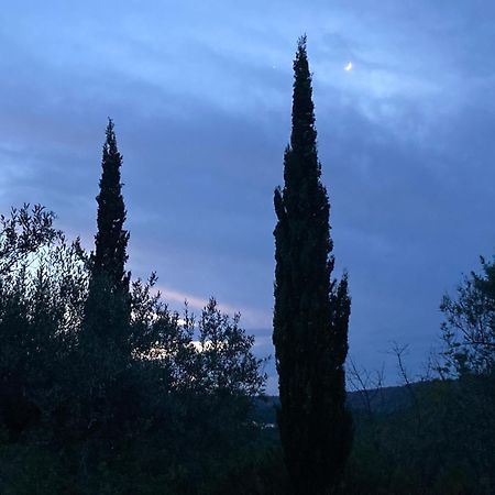 Casa Gallinera Benissiva Buitenkant foto